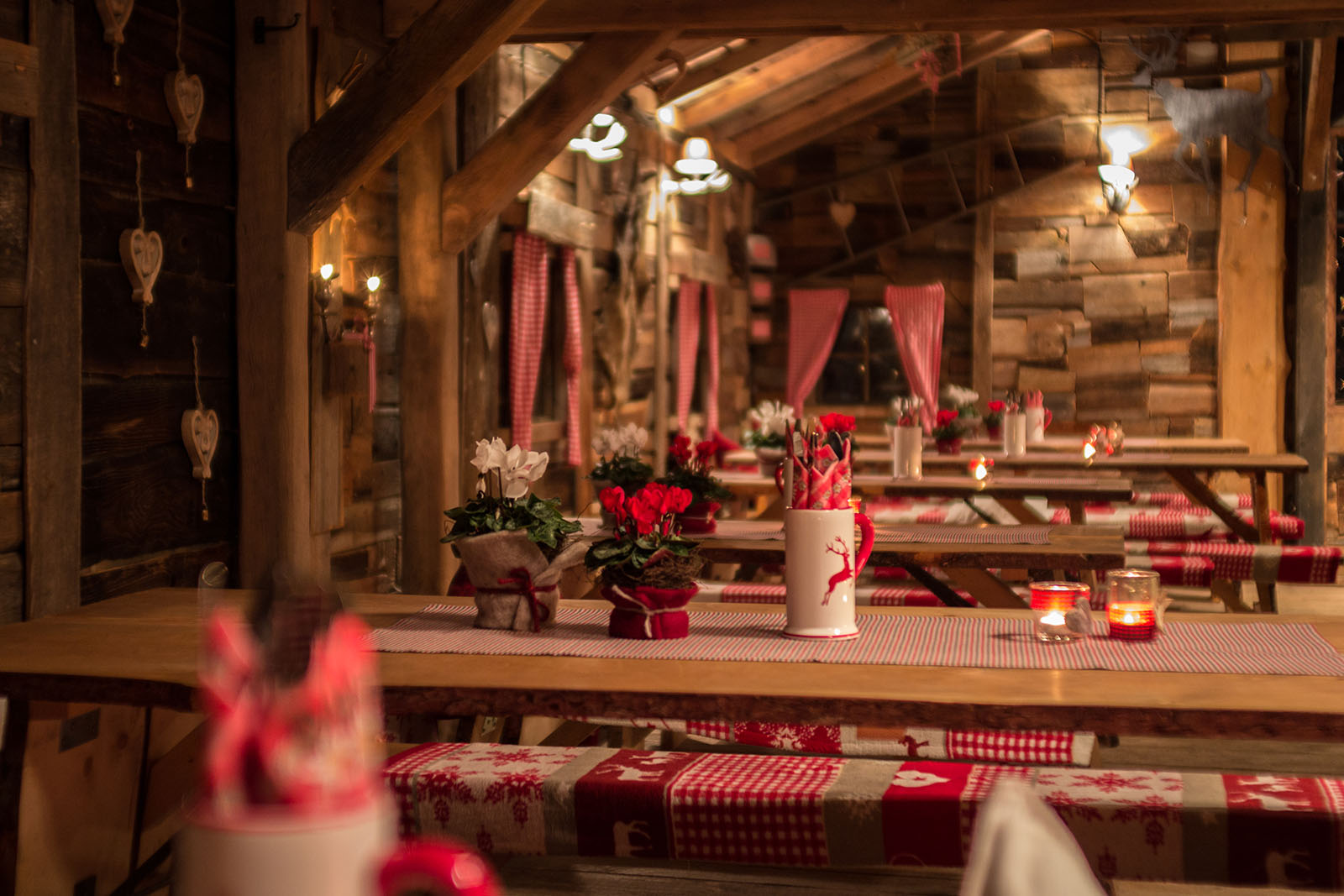 Detailaufnahme in die Alm in Frankenberg, hier ist die gemütliche Atmosphäre für Ihre Feierlichkeit eingefangen.